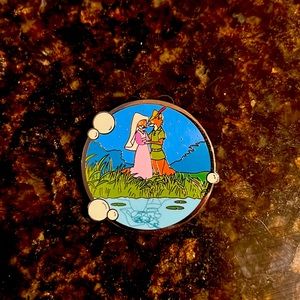 Disney mystery pin reflections- Robin Hood